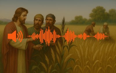 Tvö sæði á jörðinni